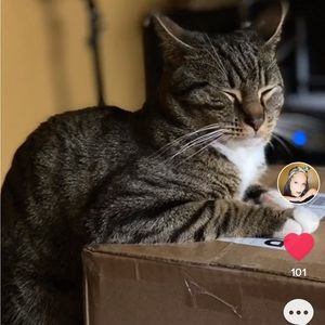 Meet your Posher, Ybc